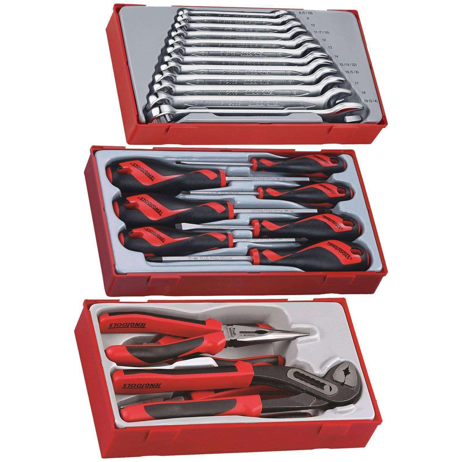 Teng Tools 23 Piece Combination Wrench, Mega Bite Plier And Screwdriver Set - TT1236