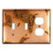Bamboo Copper - 2 Toggle / 1 Duplex Wallplate
