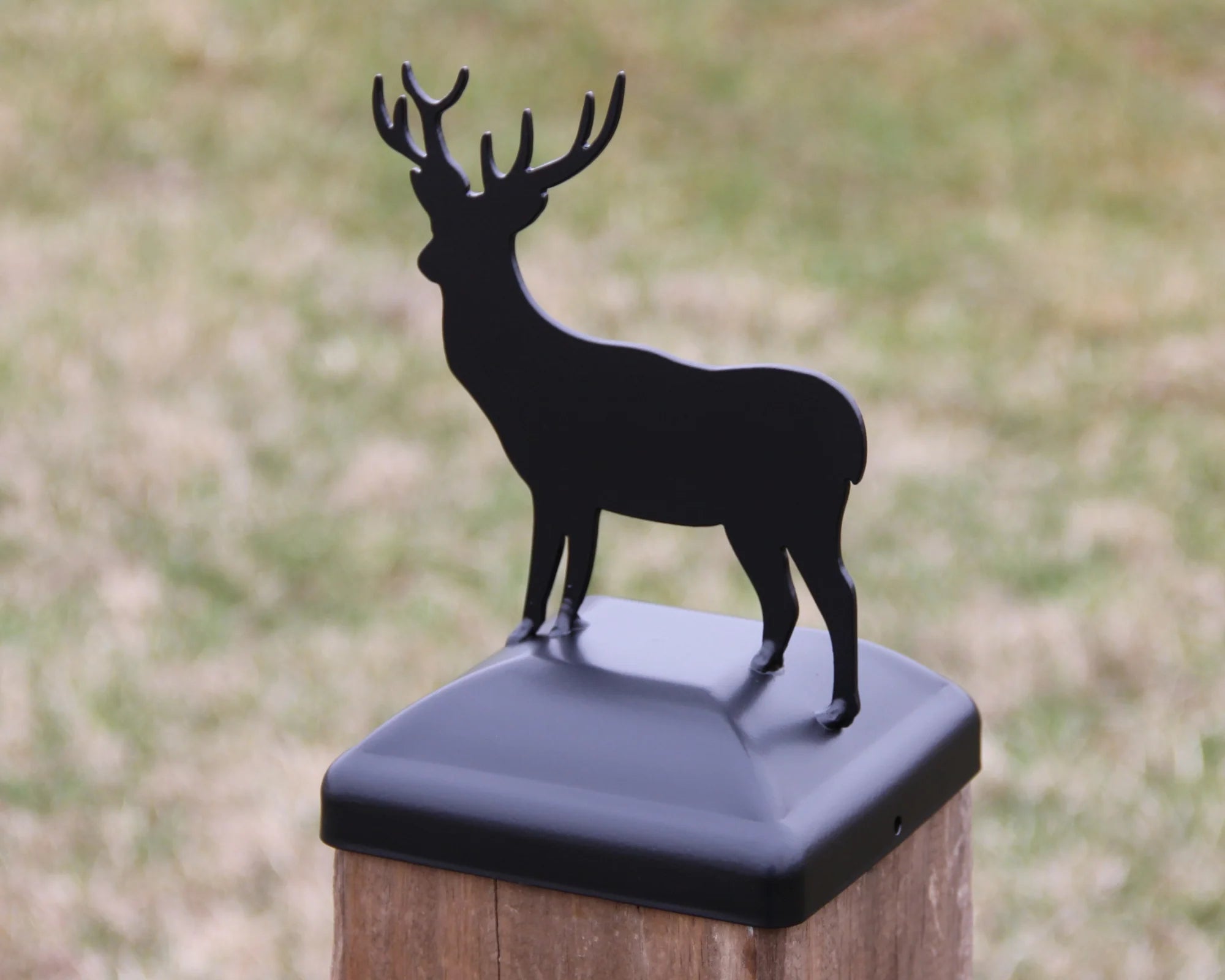 6X6 Deer Post Cap (5.5 x 5.5 Post Size)