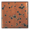 Sunburst Copper - 2 Blank Wallplate