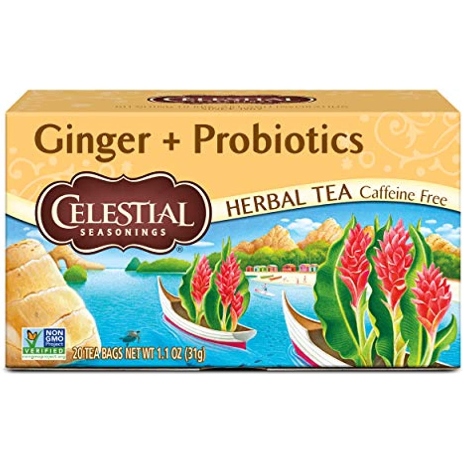 Té de jengibre Celestial Seasonings con probióticos para la salud intestinal, el apoyo inmunitario y la digestión (16 bolsitas por paquete, 6 unidades)