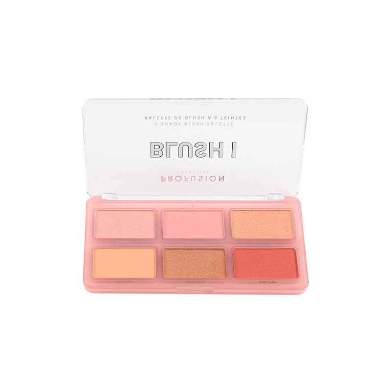 Paleta de rubor facial de 6 tonos