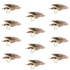 Muddler Minnow Fly Fishing Flies - Classic Bass and Trout Streamers - 1 Dozen Flies Hook Size 6