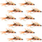Double Bead Peacock Stonefly Nymph with Amber Biot Legs Fly Fishing Flies - 1 Dozen Flies Hook Size 12