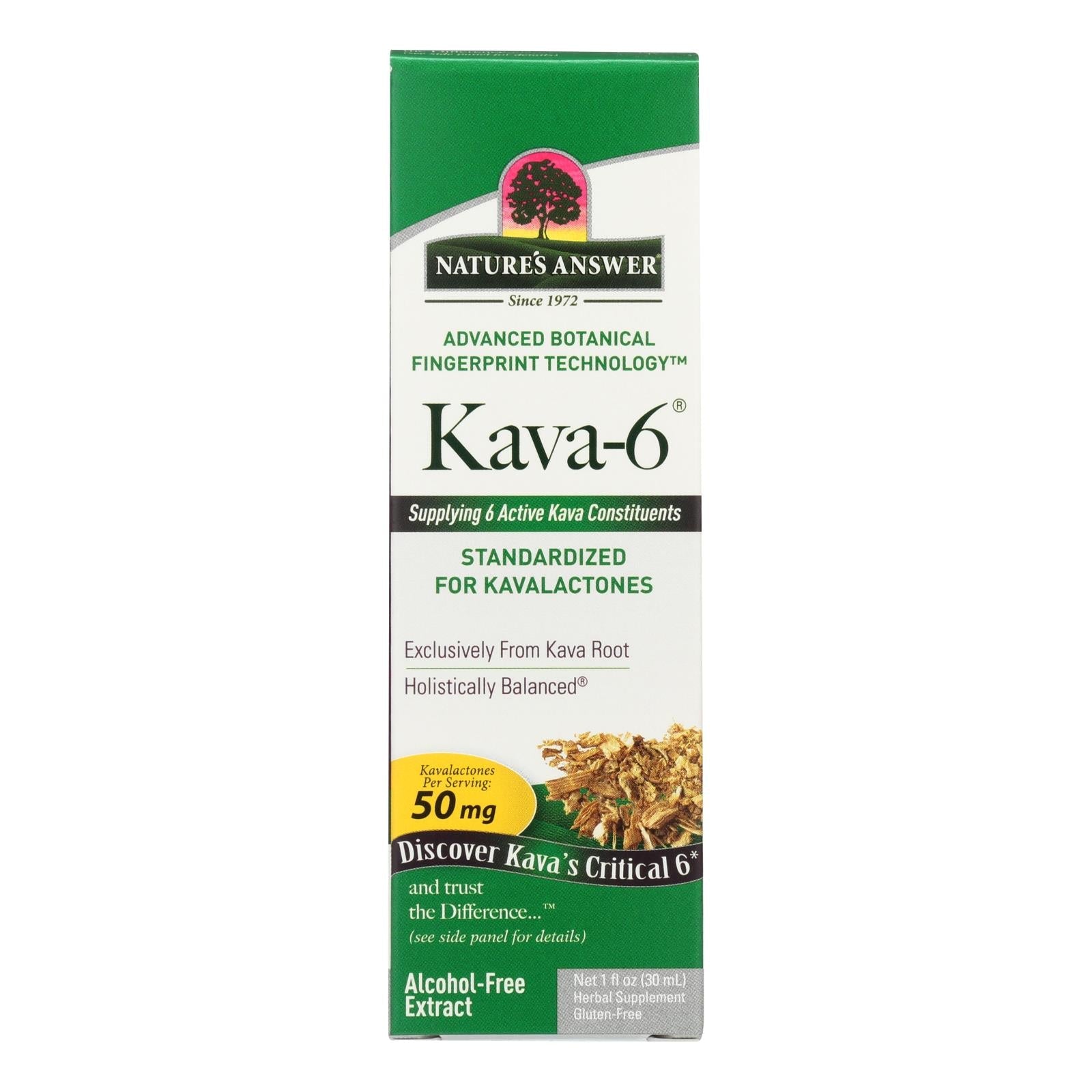 Extracto de Kava 6 de Nature's Answer, sin alcohol, alta potencia, 1 onza