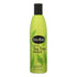 Champú natural de árbol de té Shikai, 12 onzas líquidas