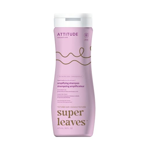 Attitude - Champú amplificador de rizos, 16 onzas líquidas - Define e hidrata