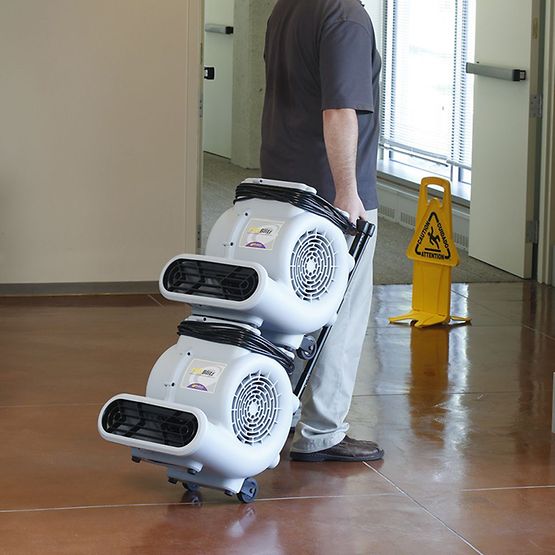 ProBlitz XP AirMover w/ Telescoping Handle and Daisy Chain