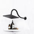 16 in. High-Arc Hook Shower Head Extension Arm (Black Finish)