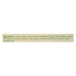 A La Maison Rosemary/Mint Exfoliating Bar Soap (Pack of 4)
