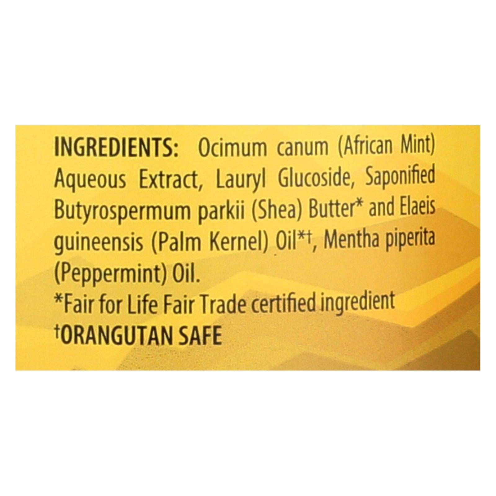 Alaffia African Black Soap with Refreshing Peppermint (32 Fl Oz)