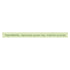 Matcha Love Green Tea Traditional Flavor Tea Bags (Pack of 6 - 10 ct)