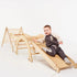 5 in 1 Montessori Climbing Set: Triangle Ladder + Climbing Arch + Slide Board + Climbing Net + Art Addition