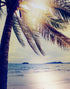 Mural de pared con puesta de sol en la costa y palmeras en la playa n.° 6040