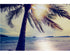 Mural de pared con puesta de sol en la costa y palmeras en la playa n.° 6040