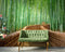 Mural de pared del bosque de bambú japonés Arashiyama Woods n.° 6043