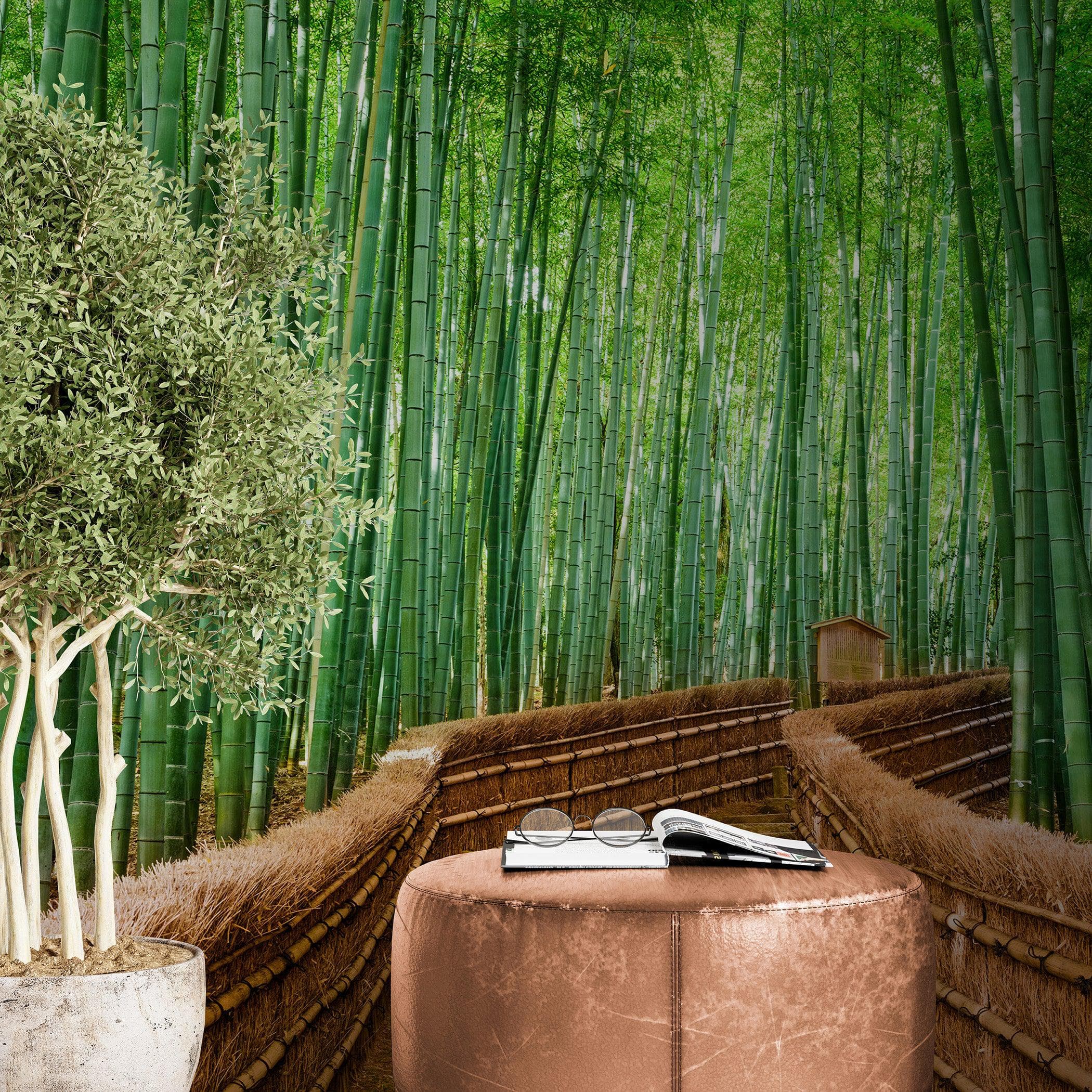 Mural de pared del bosque de bambú japonés Arashiyama Woods n.° 6043