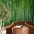 Mural de pared del bosque de bambú japonés Arashiyama Woods n.° 6043