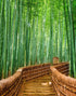 Mural de pared del bosque de bambú japonés Arashiyama Woods n.° 6043