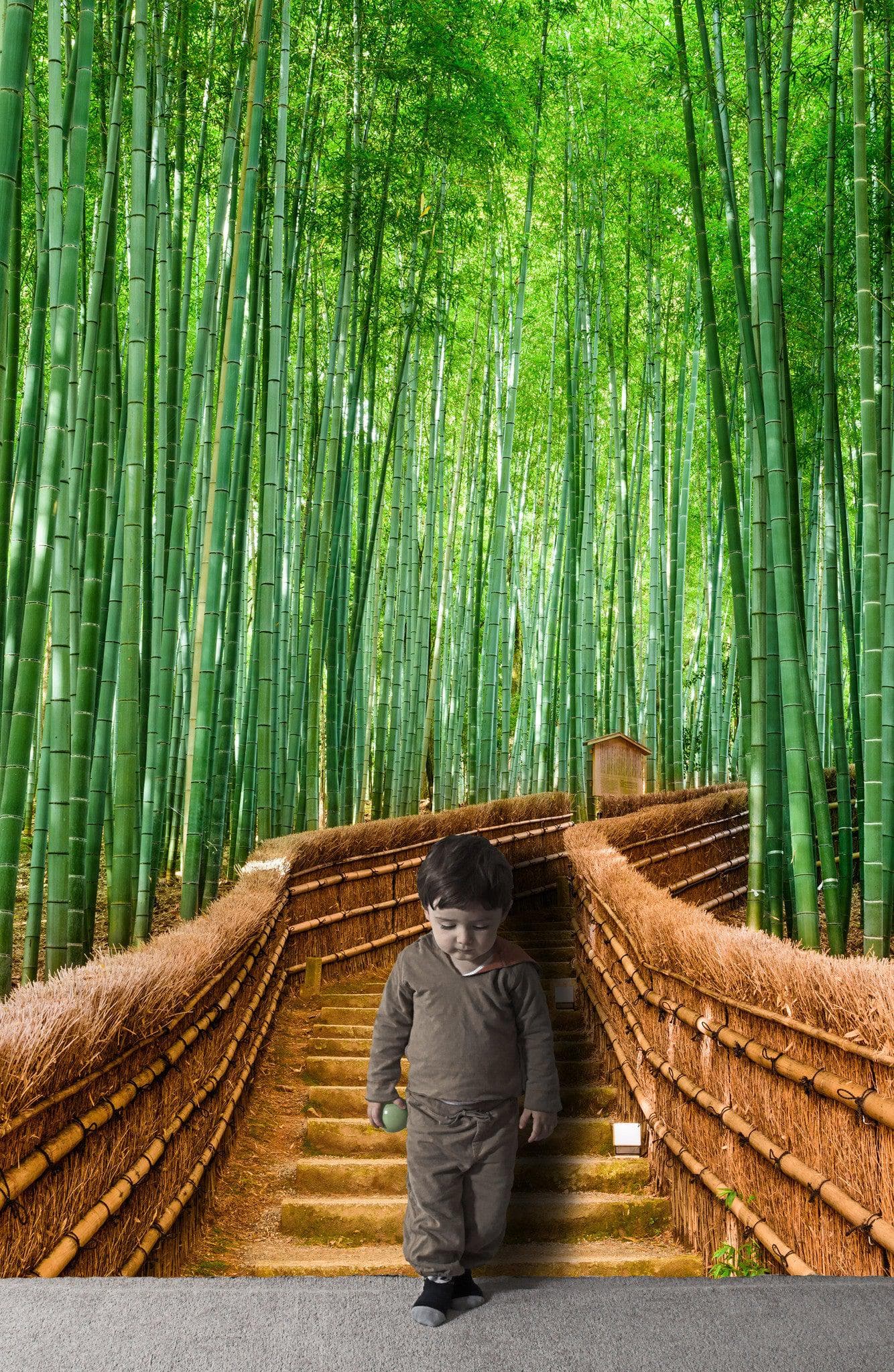 Mural de pared del bosque de bambú japonés Arashiyama Woods n.° 6043