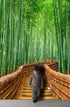 Mural de pared del bosque de bambú japonés Arashiyama Woods n.° 6043