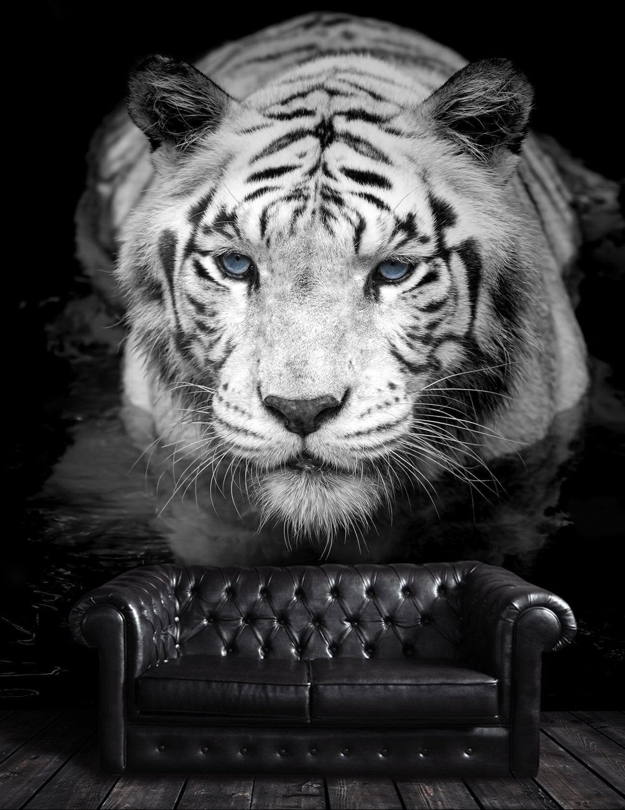 Mural grande "Tigre mira fijamente" (blanco y negro) n.° 6045