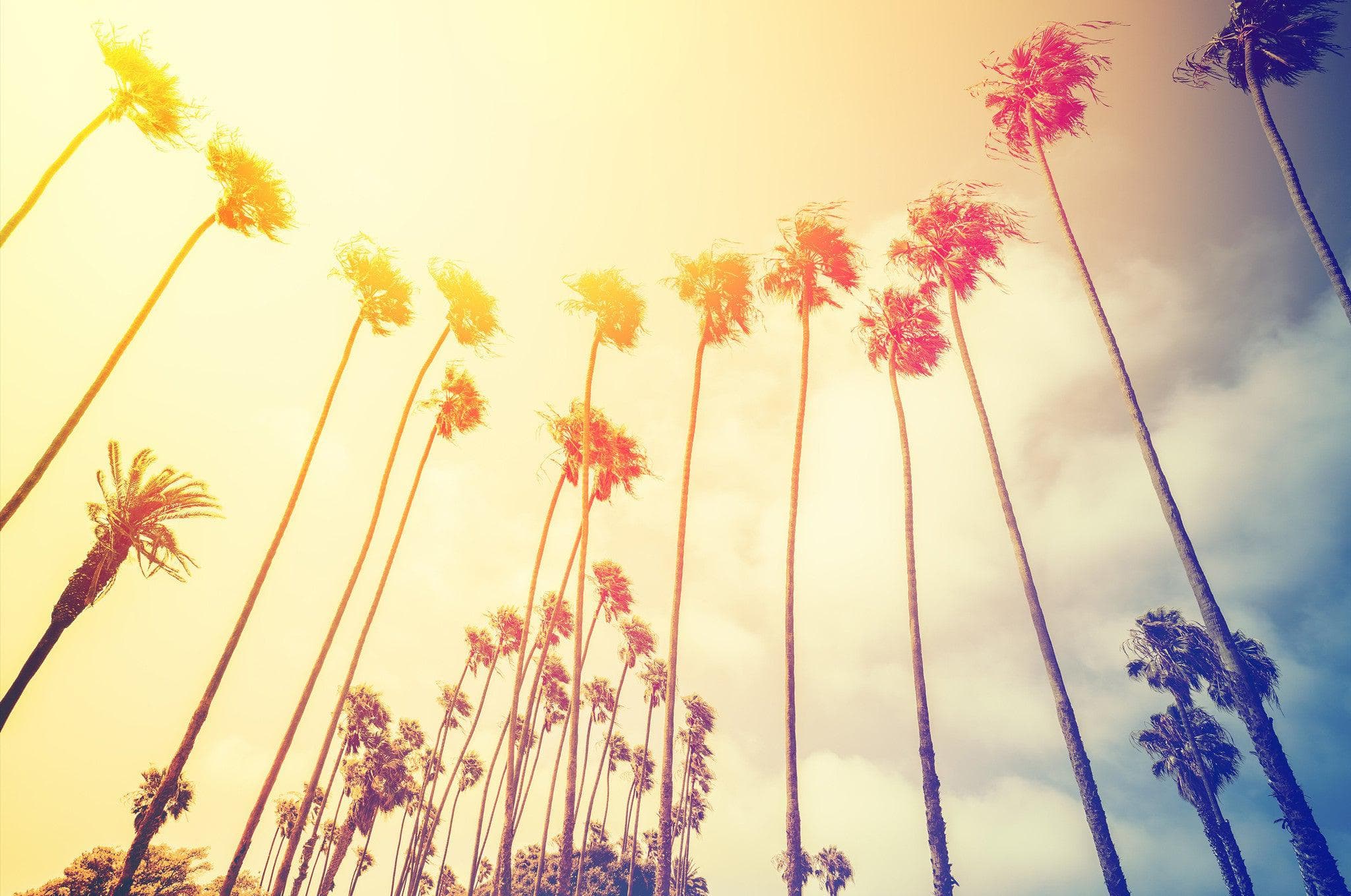 Mural de pared con palmeras al atardecer en California de estilo retro n.° 6050