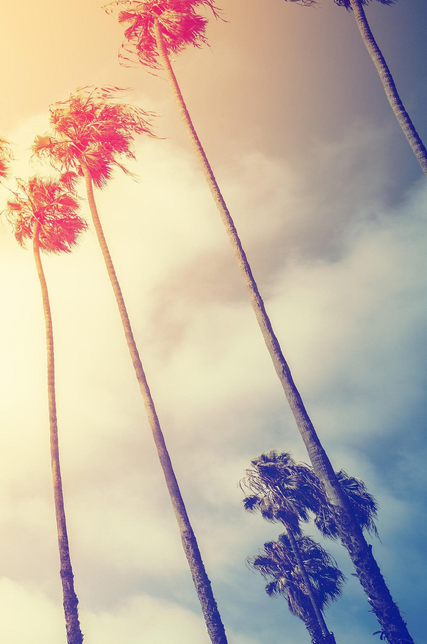 Mural de pared con palmeras al atardecer en California de estilo retro n.° 6050