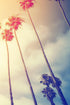 Mural de pared con palmeras al atardecer en California de estilo retro n.° 6050
