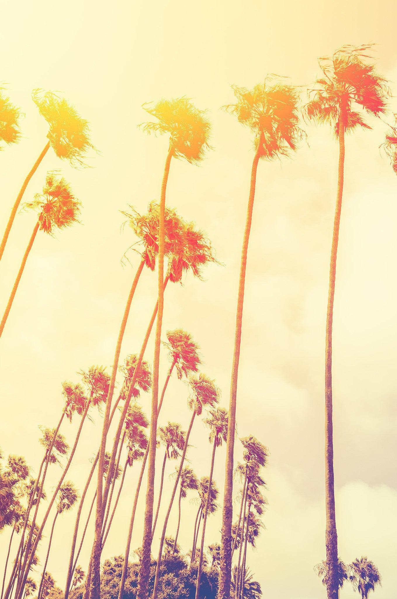 Mural de pared con palmeras al atardecer en California de estilo retro n.° 6050