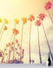 Mural de pared con palmeras al atardecer en California de estilo retro n.° 6050