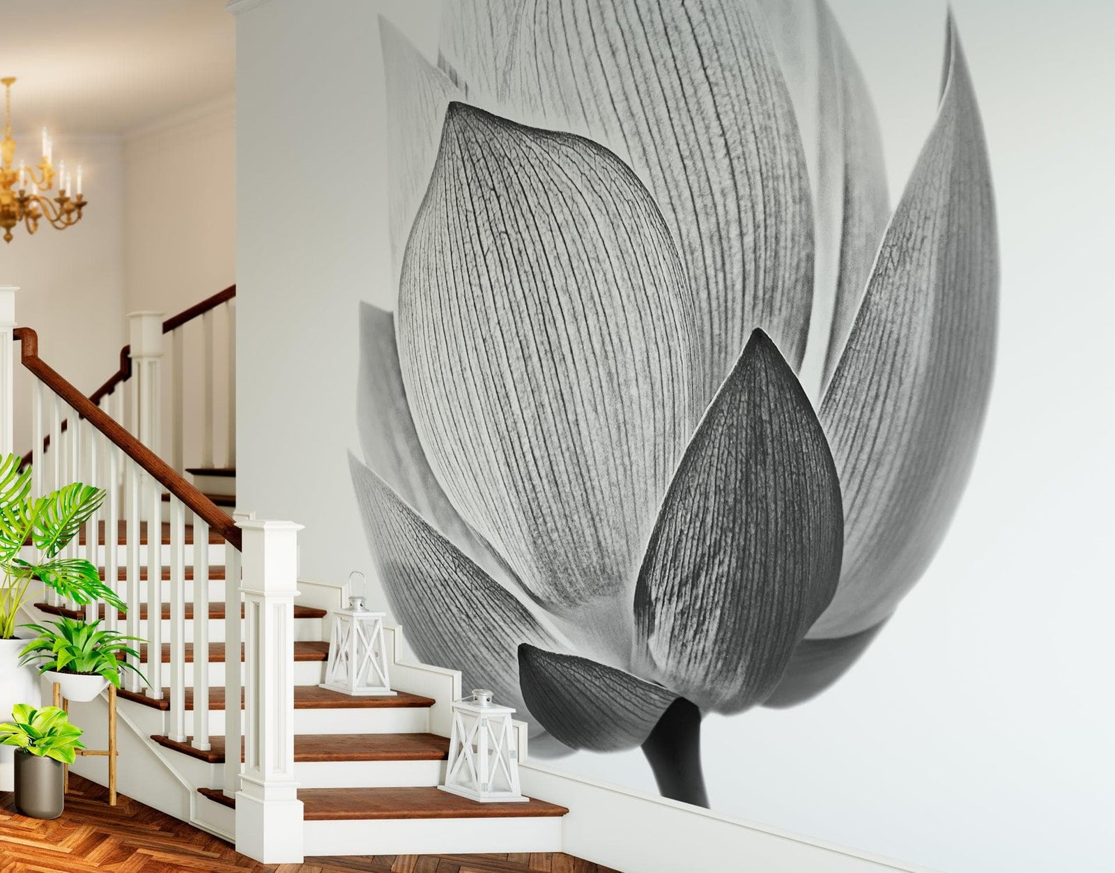 Mural de pared con flor de loto en blanco y negro n.° 6116