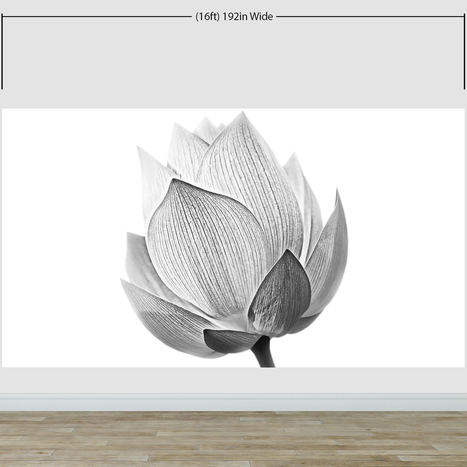 Mural de pared con flor de loto en blanco y negro n.° 6116