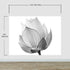 Mural de pared con flor de loto en blanco y negro n.° 6116