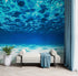 Fondo de pantalla submarino. Mural de pared con vista a una playa tropical n.° 6124