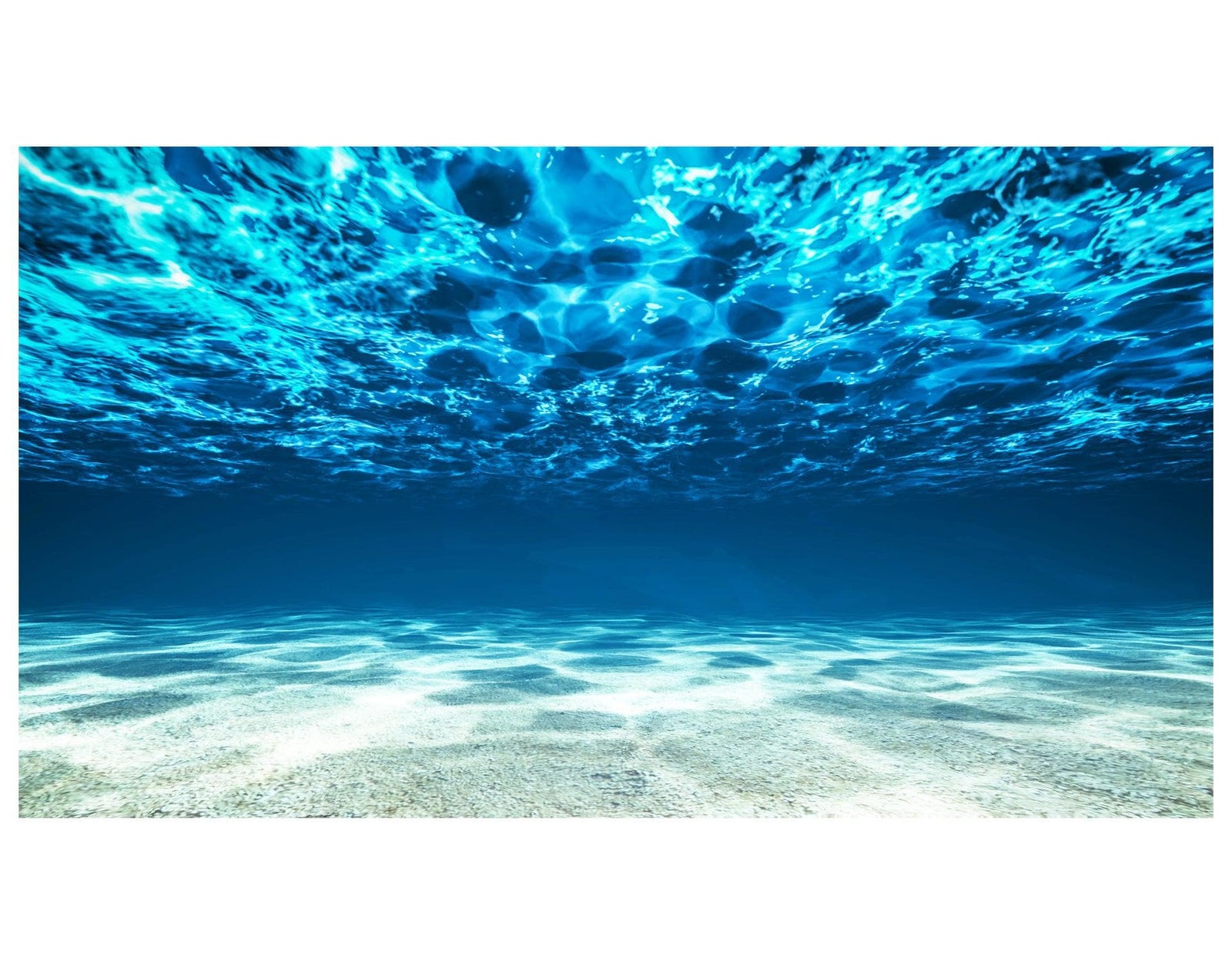 Fondo de pantalla submarino. Mural de pared con vista a una playa tropical n.° 6124