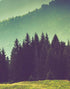 Mural de pared con vista al bosque de montaña con niebla colorida | Papel tapiz autoadhesivo. #6159