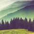Mural de pared con vista al bosque de montaña con niebla colorida | Papel tapiz autoadhesivo. #6159