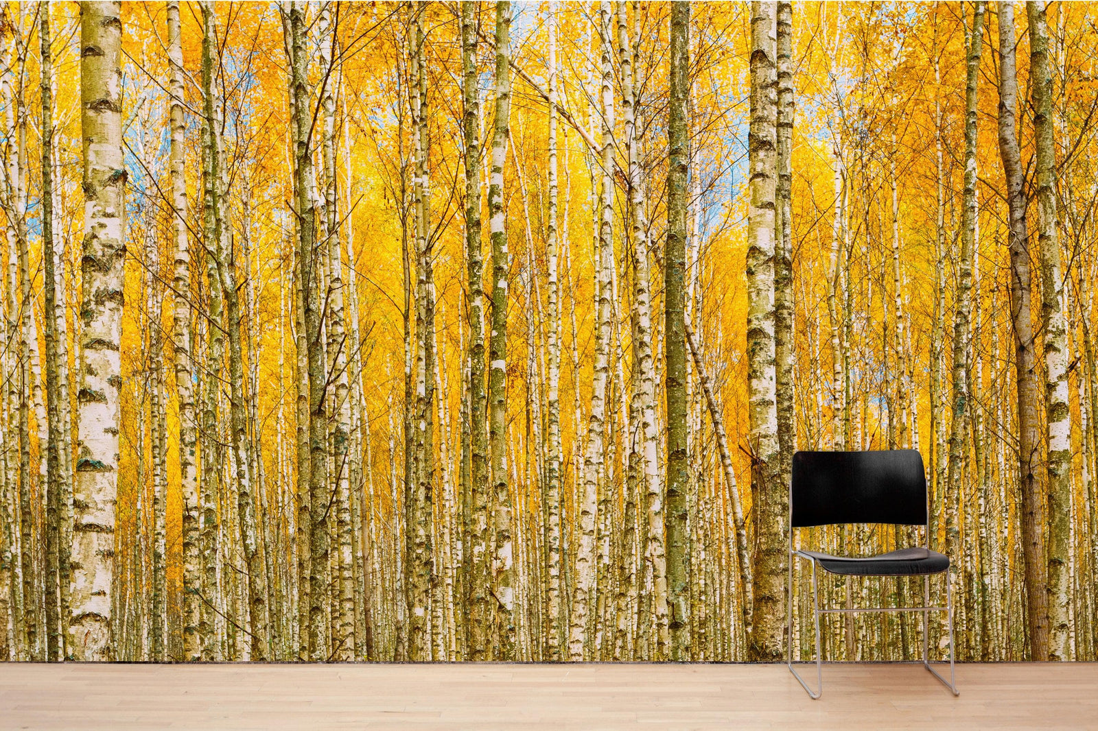 Mural de pared con bosque de abedules y paisaje otoñal | Papel pintado autoadhesivo. #6202