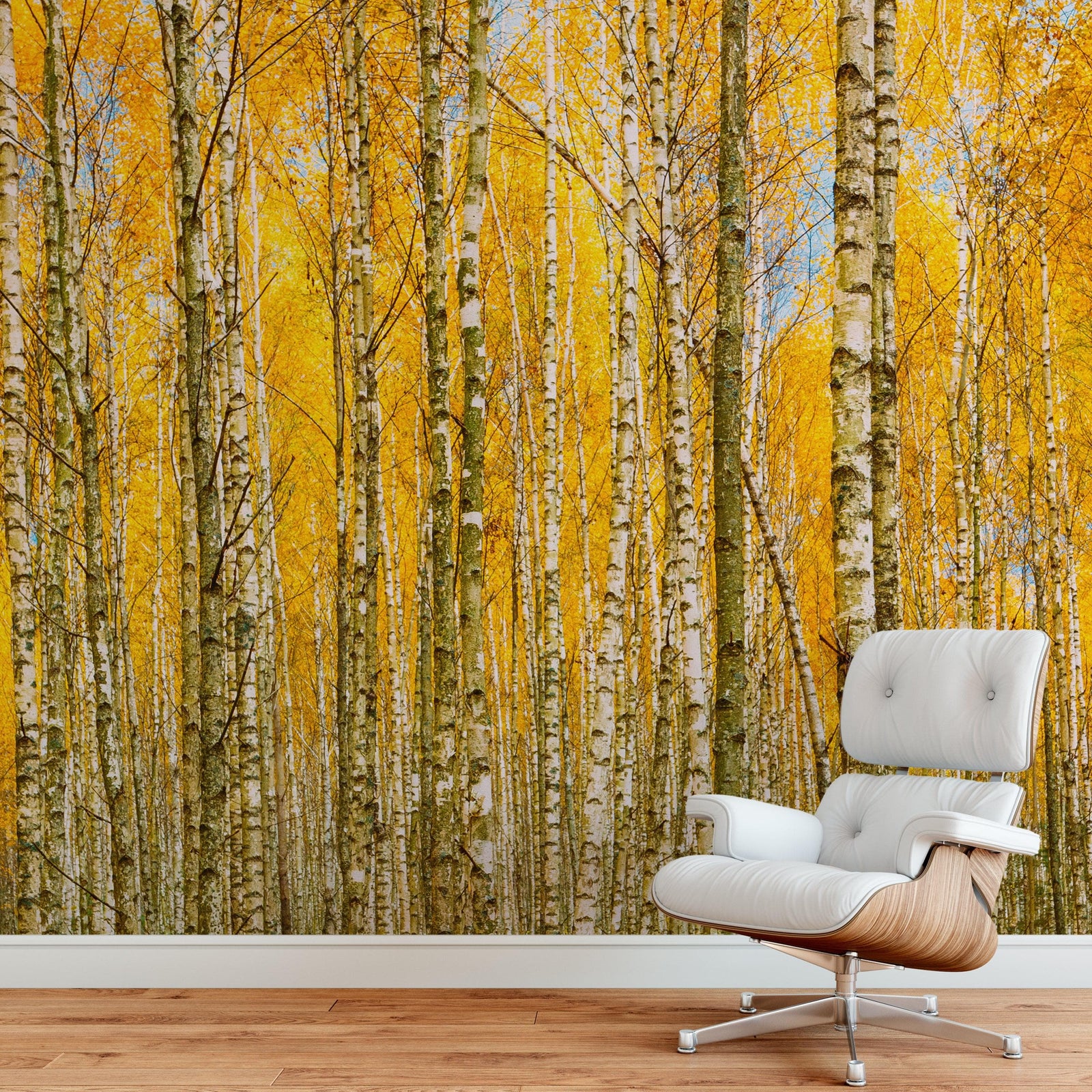 Mural de pared con bosque de abedules y paisaje otoñal | Papel pintado autoadhesivo. #6202