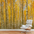 Mural de pared con bosque de abedules y paisaje otoñal | Papel pintado autoadhesivo. #6202