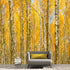 Mural de pared con bosque de abedules y paisaje otoñal | Papel pintado autoadhesivo. #6202