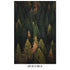 Enchanted Forest Tree Woodland Peel and Stick Wallpaper | Removable Wall Mural #6203