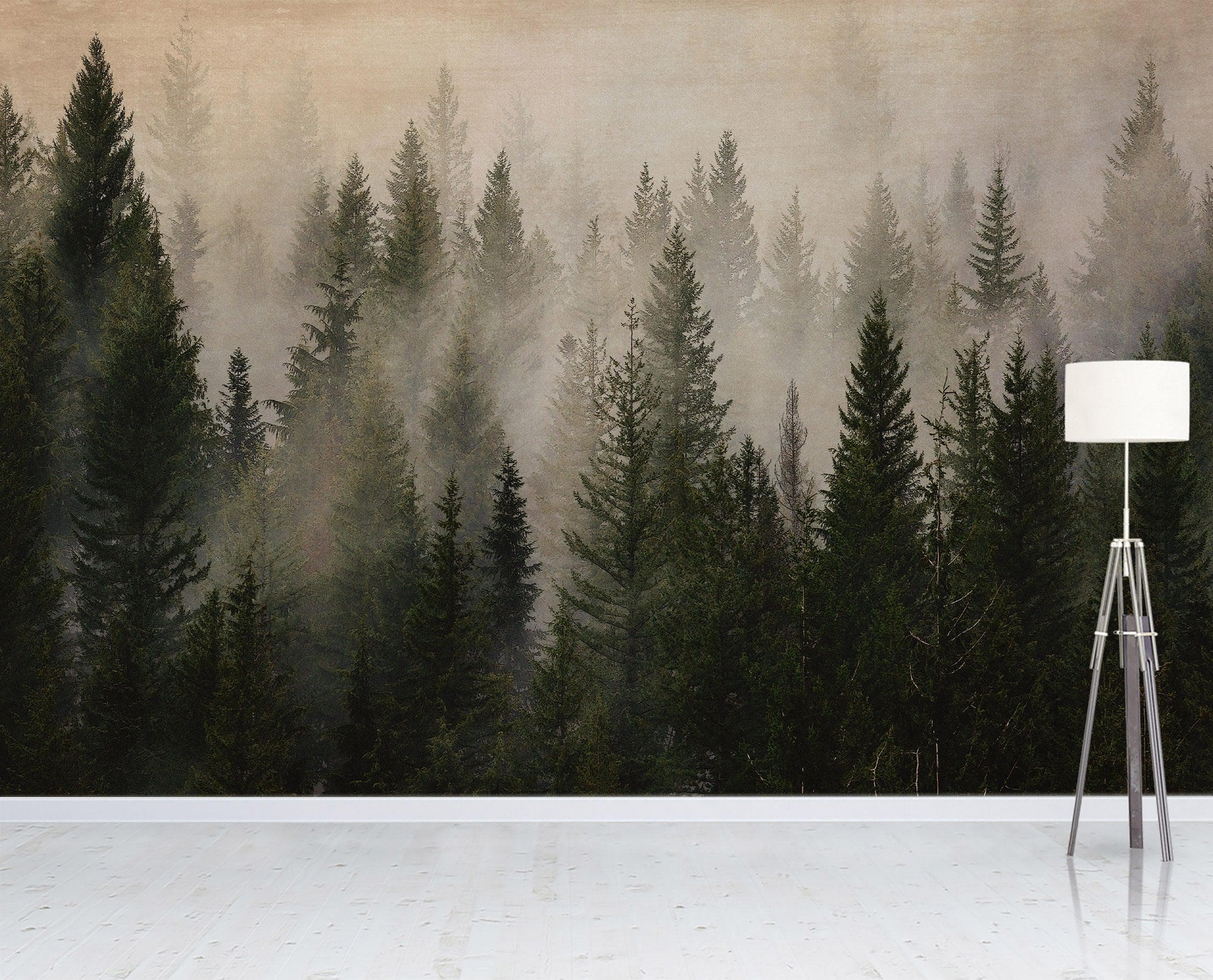 Papel tapiz con paisaje de bosque de pinos brumoso. Mural de pared autoadhesivo para decoración de pared de habitación infantil. N.º 6237