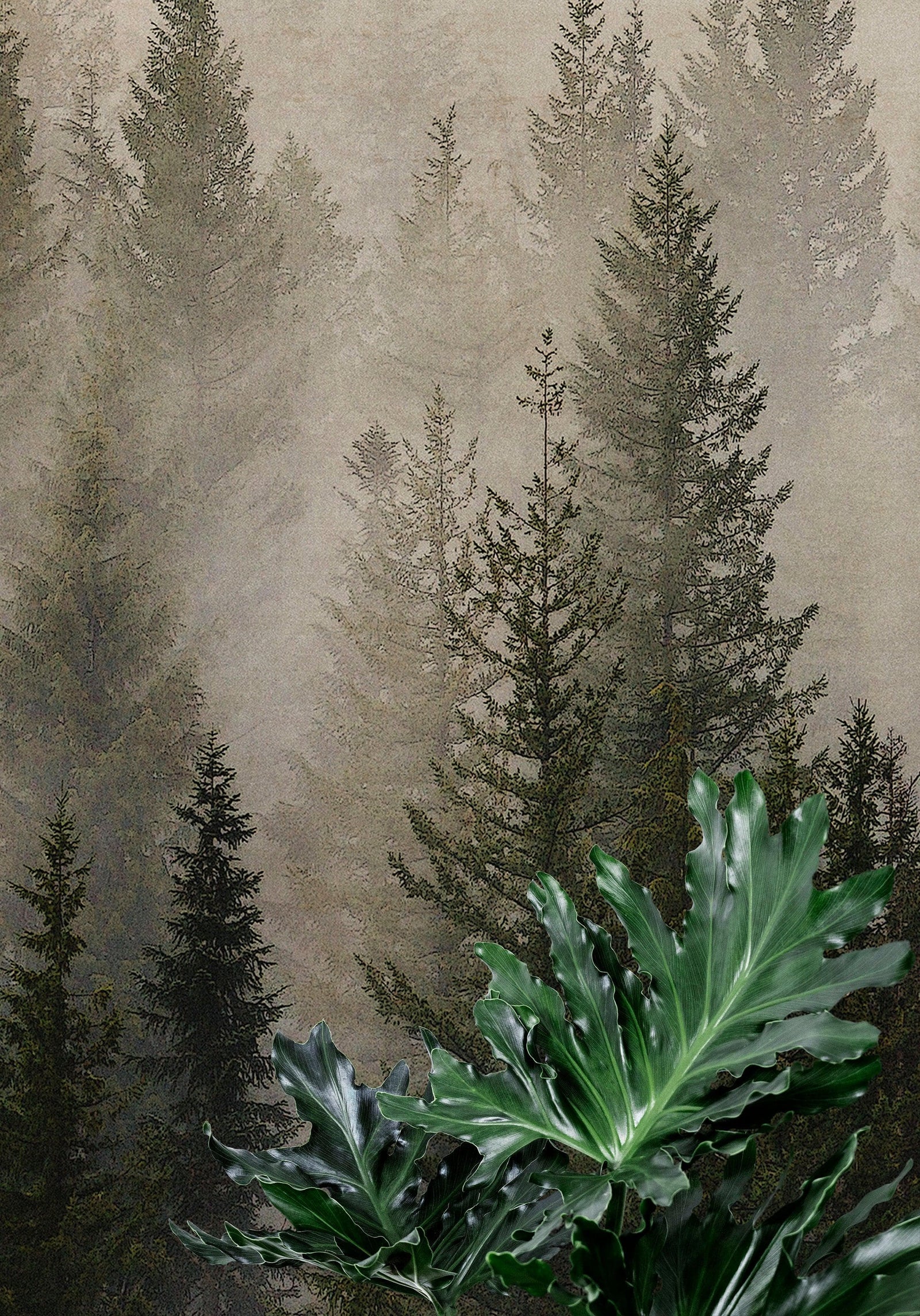 Papel tapiz con paisaje de bosque de pinos brumoso. Mural de pared autoadhesivo para decoración de pared de habitación infantil. N.º 6237