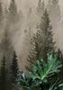 Papel tapiz con paisaje de bosque de pinos brumoso. Mural de pared autoadhesivo para decoración de pared de habitación infantil. N.º 6237