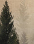 Papel tapiz con paisaje de bosque de pinos brumoso. Mural de pared autoadhesivo para decoración de pared de habitación infantil. N.º 6237