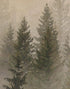 Papel tapiz con paisaje de bosque de pinos brumoso. Mural de pared autoadhesivo para decoración de pared de habitación infantil. N.º 6237