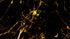 Black and Gold Abstract Marble Stone Peel and Stick Wall Mural. #6239