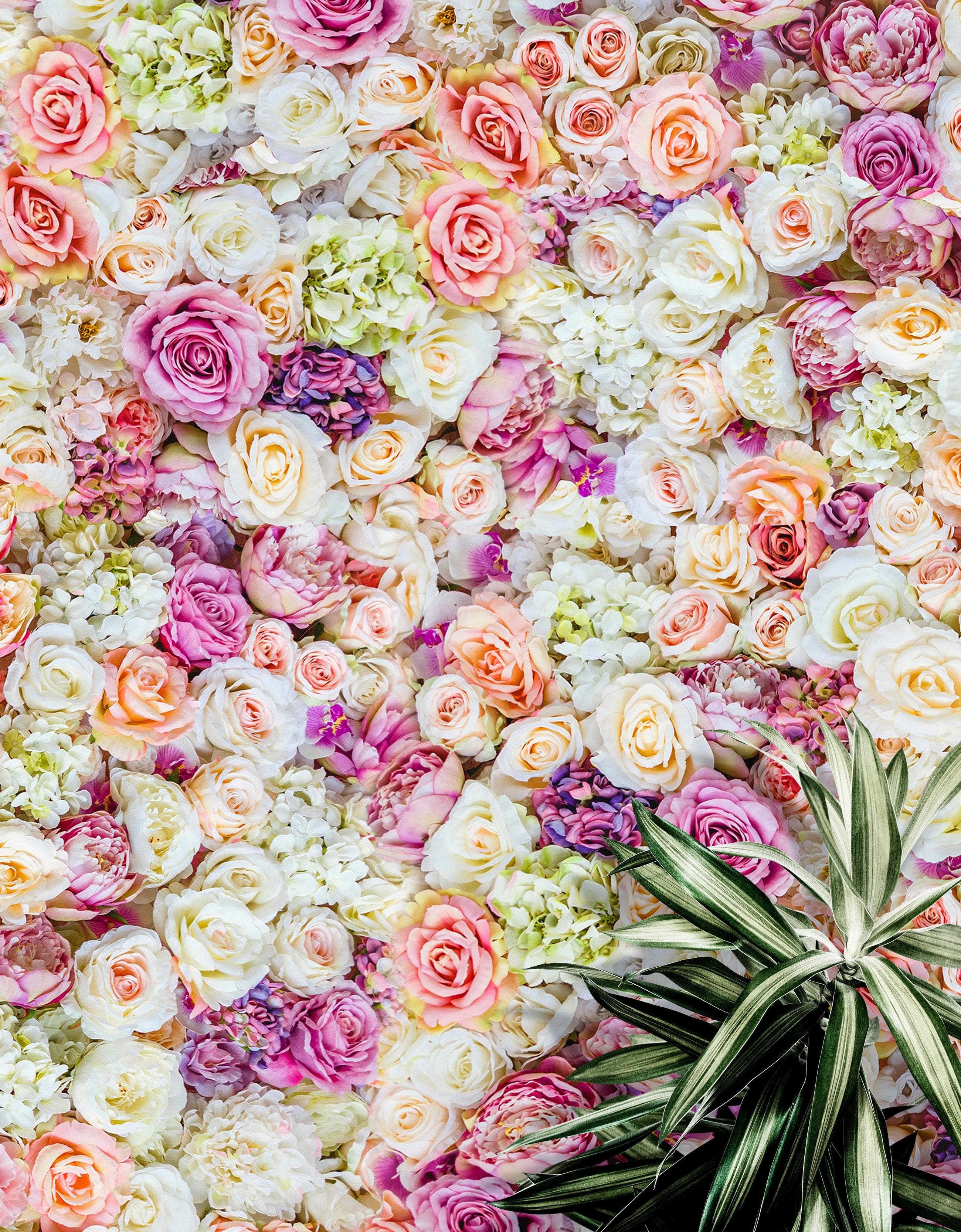 Mural de pared autoadhesivo con diseño de peonías. Fondo de boda. N.º 6277